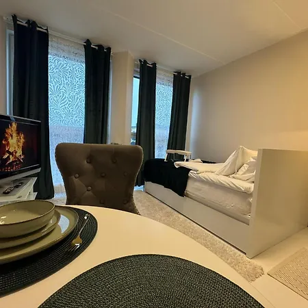 Apartament I&a - Roseni Tn *